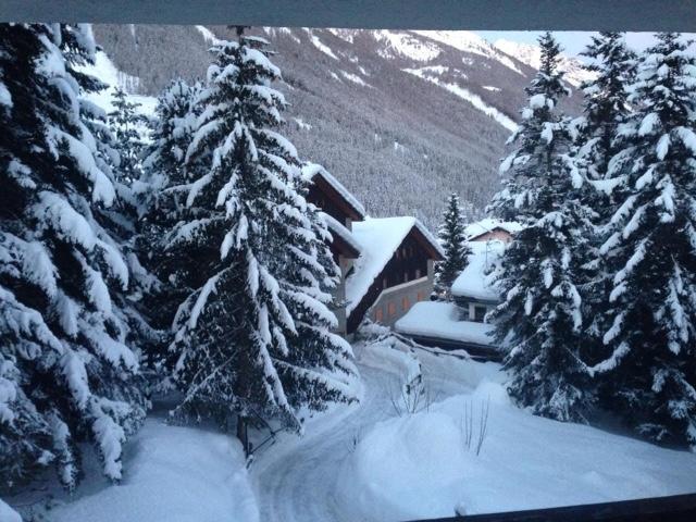 Appartamento Borealis Cogne Exteriör bild